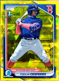 Yoeilin Cespedes