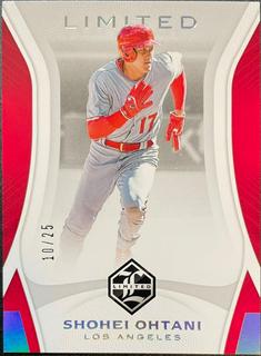 Shohei Ohtani