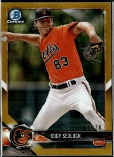 Cody Sedlock