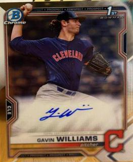 Gavin Williams