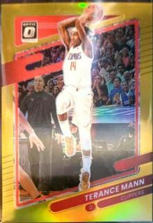 Terance Mann