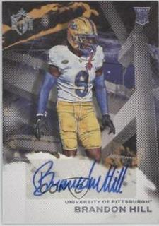Brandon Hill