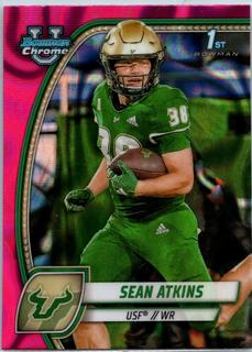 Sean Atkins