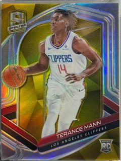Terance Mann