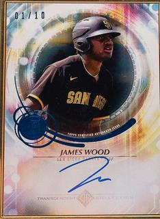 James Wood