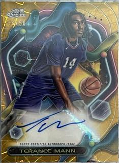 Terance Mann