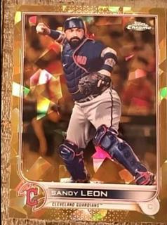 Sandy Leon