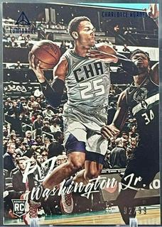 PJ Washington Jr.