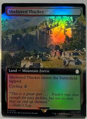 Sheltered Thicket #508 Magic Fallout Prices