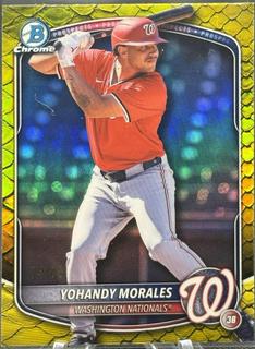 Yohandy Morales
