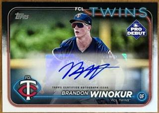 Brandon Winokur