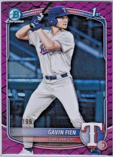 Gavin Fien