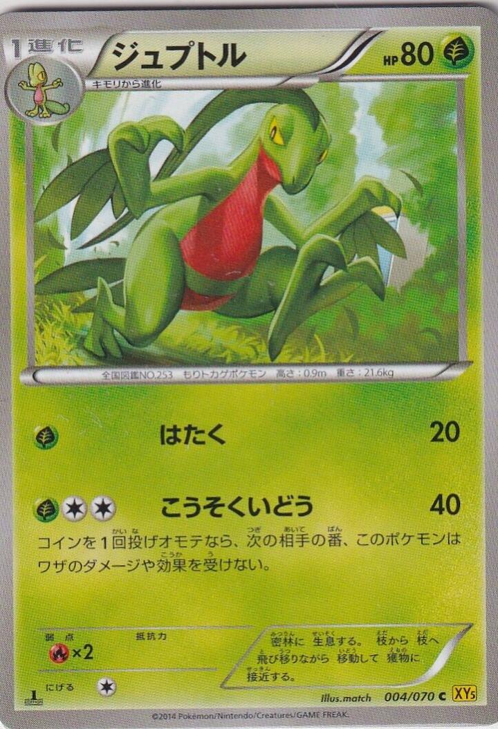 Grovyle #4 Pokemon Japanese Gaia Volcano