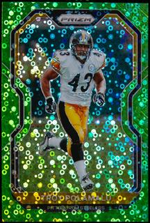 Troy Polamalu