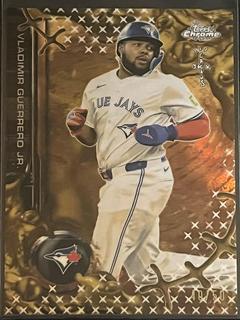 Vladimir Guerrero Jr