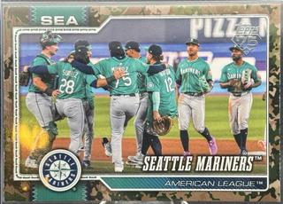 Team Card