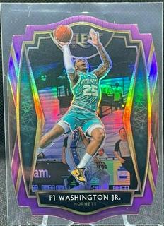PJ Washington Jr.