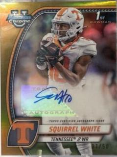 Squirrel White