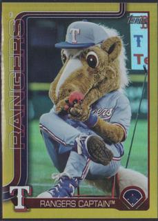 Rangers Captain