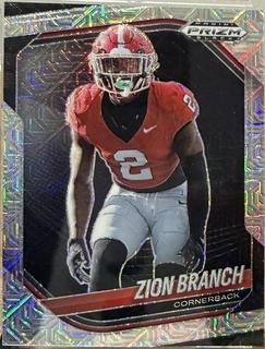 Zion Branch
