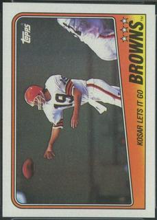 Browns Team Leaders