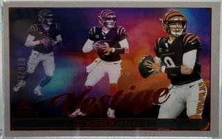 Joe Burrow