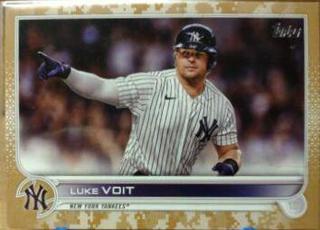 Luke Voit