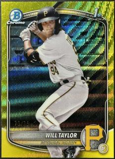 Will Taylor
