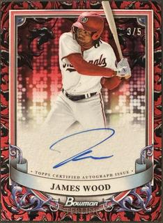 James Wood