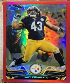 Troy Polamalu
