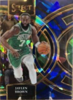 Jaylen Brown