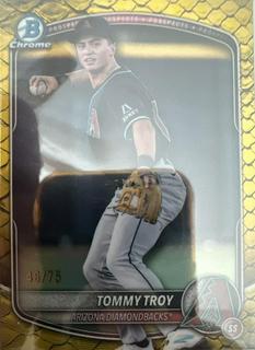 Tommy Troy
