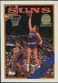 Dan Majerle