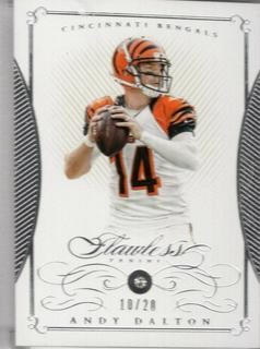 Andy Dalton