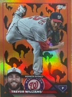 Trevor Williams