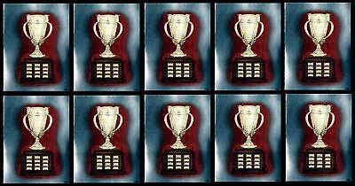Calder Trophy #248