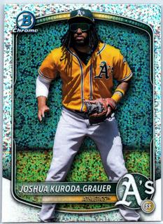 Joshua Kuroda-Grauer