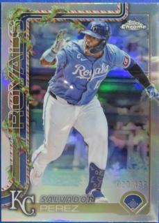 Salvador Perez