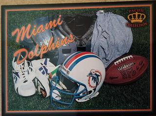 Miami Dolphins