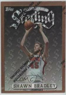 Shawn Bradley