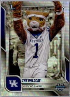 The Wildcat