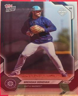 Brendan Donovan