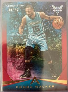 Kemba Walker
