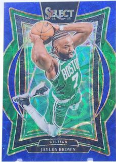 Jaylen Brown