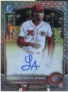 Liberts Aponte