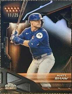 Matt Shaw