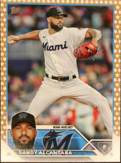 Sandy Alcantara