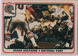 Miami Dolphins