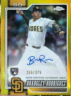 Bradgley Rodriguez