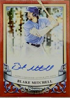 Blake Mitchell